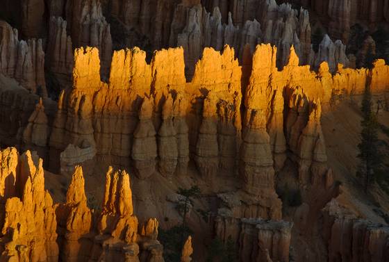 Bryce_point