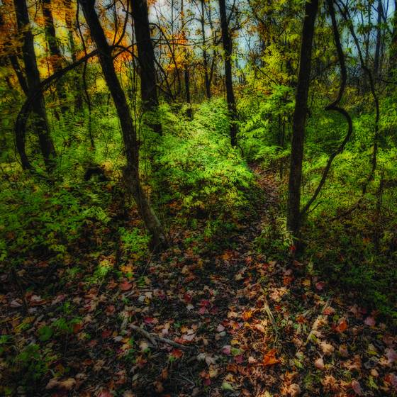 Untitled_5