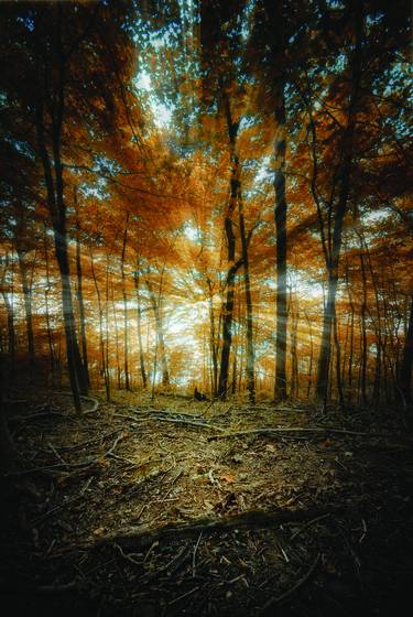 Untitled_8