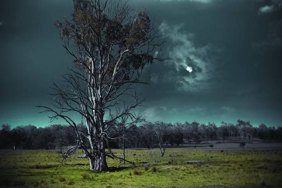 New_moon