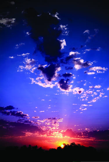 Vivid_09