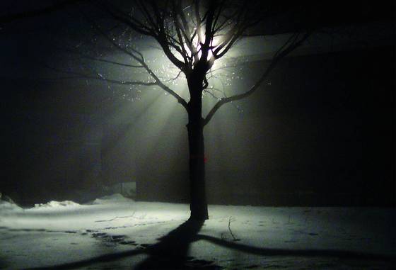 Tree_1