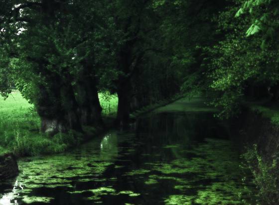 Stream