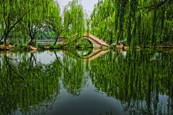 Beihai_park