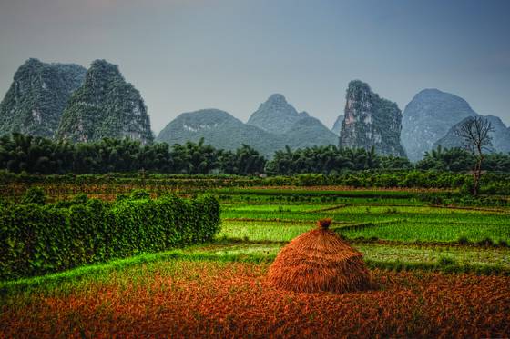 Rice_haystack_and_mountains