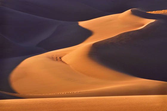 Wind_swept_1