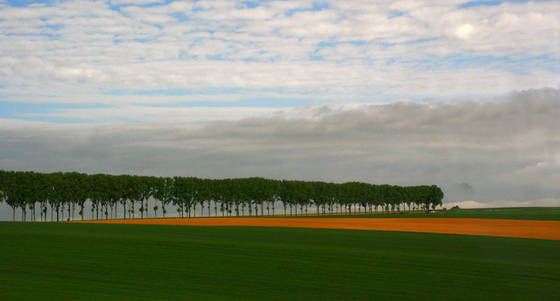 Scene_from_a_fast_moving_train