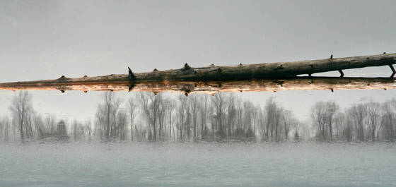 Split_log