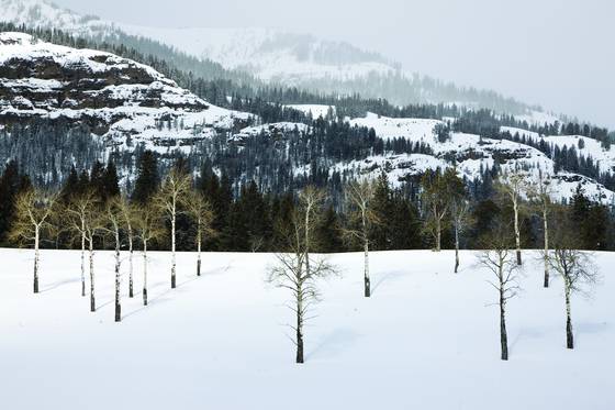 Near_pebble_creek