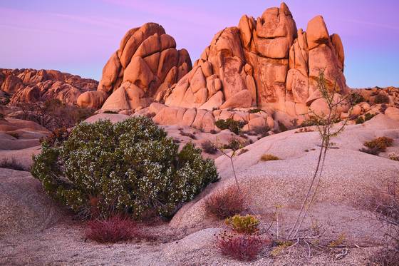 Skull_rock_sunset_reflection