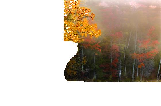 Autumn_mist