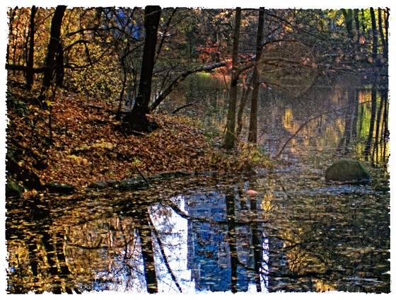 Central_park_pond_reflection
