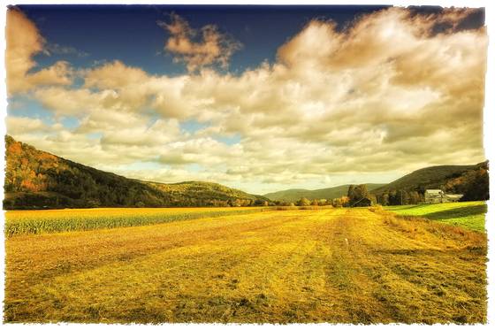 Roxbury_autumn_field