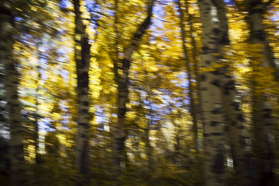 Untitled_2