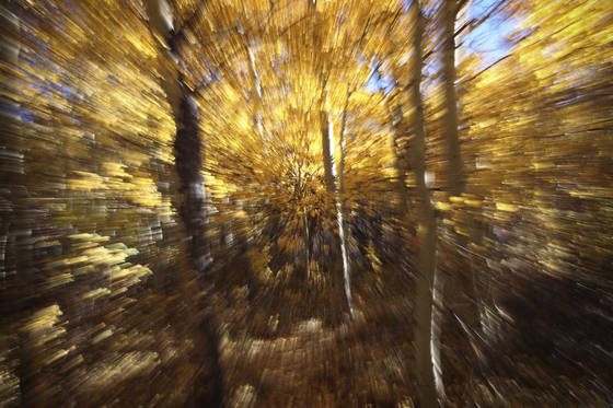 Untitled_7