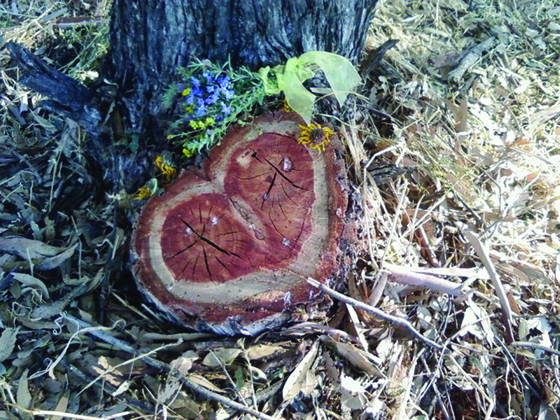 Ancestral_heart