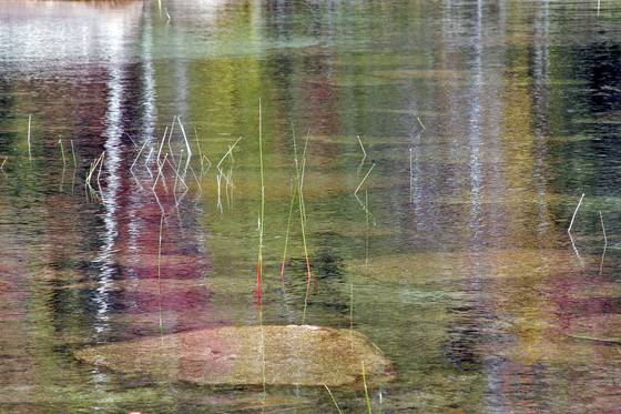 Autumn_reflections_1
