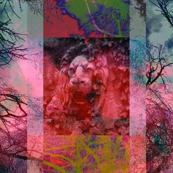 Lion_in_winter