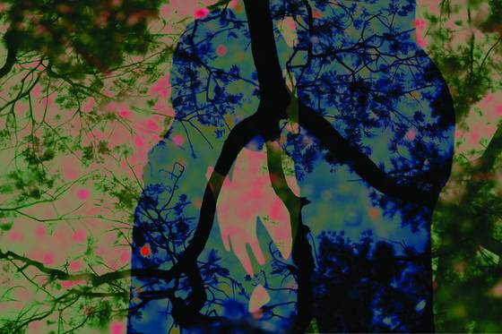 Organic_baroque_1