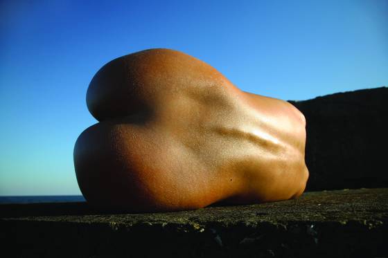 Lying_torso