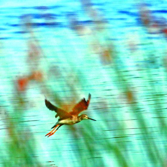 In_flight