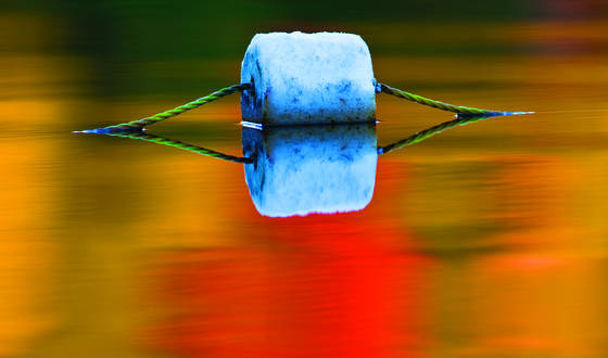 Untitled_2
