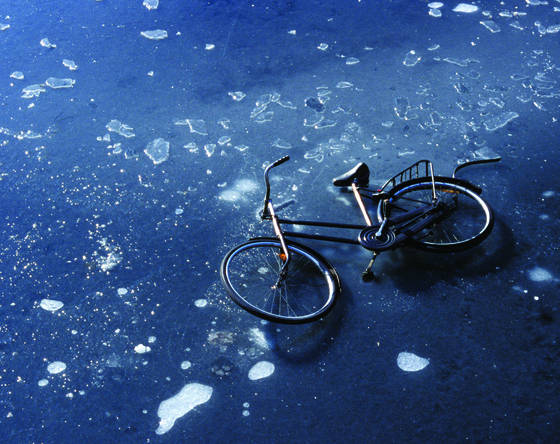 The_bicycle