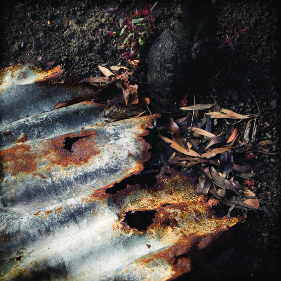 Burnt_2