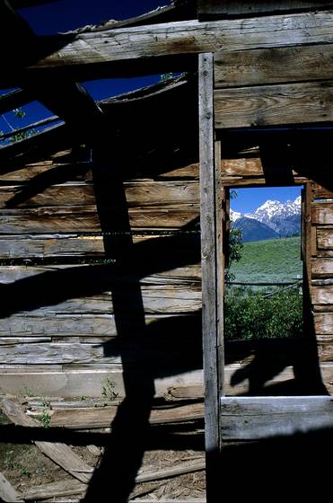 Room_with_a_view