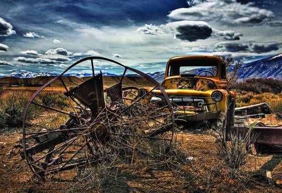 Ol__yeller