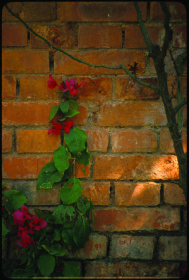 Sun_on_wall