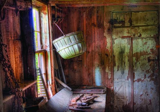 Tool_shed