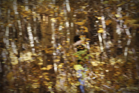 Untitled_3
