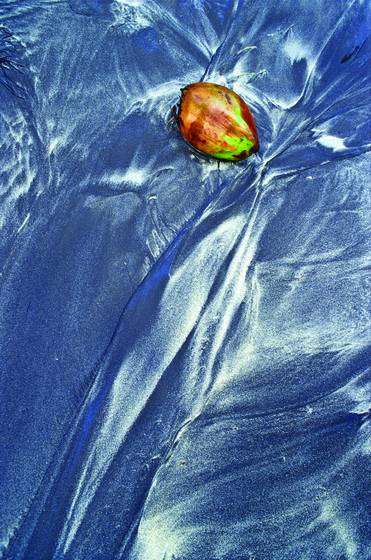Coconut_rivulets