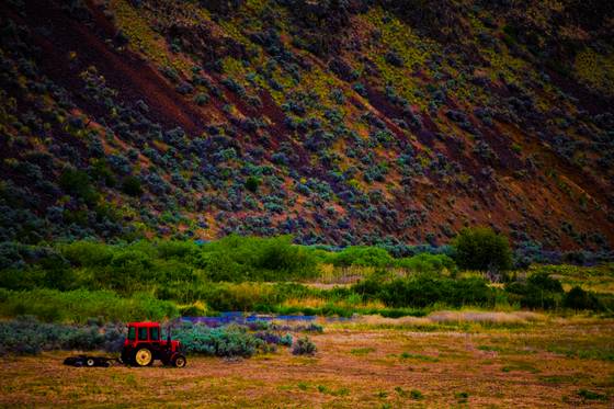 Tractor
