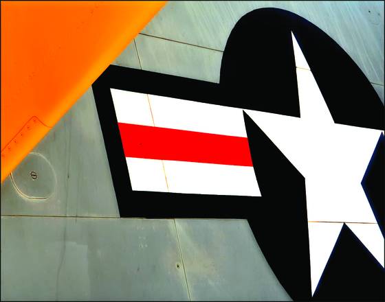 Fuselage_insignia