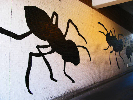 Ant_alley