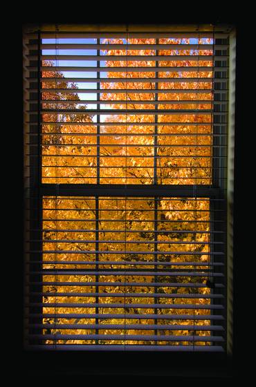 My_window_-_autumn