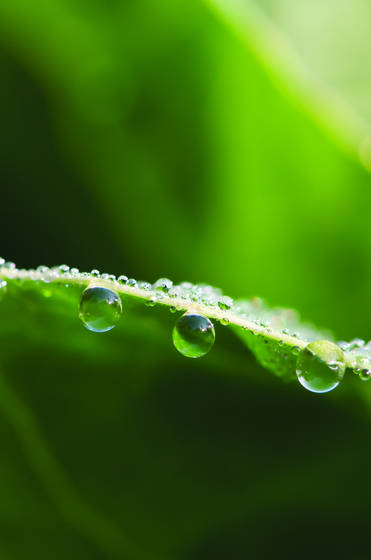 Spheres