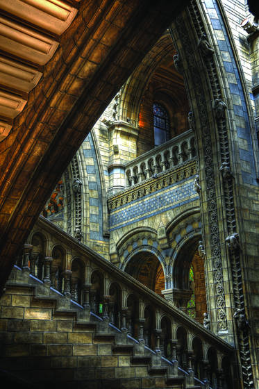 Natural_history_museum