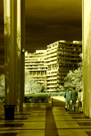 A_walk_into_the_future