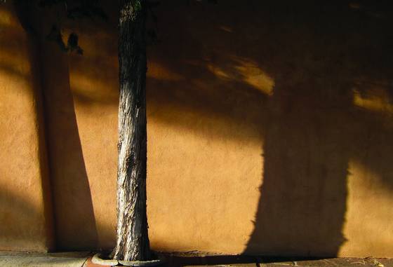 Shadows