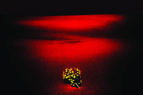 Dune_1