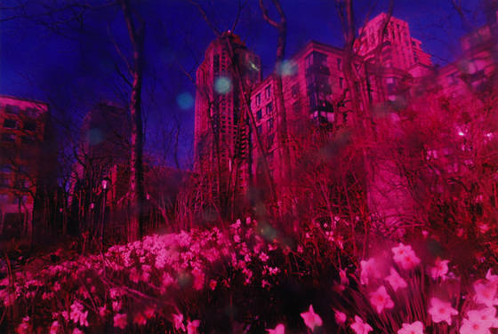 Battery_park_city