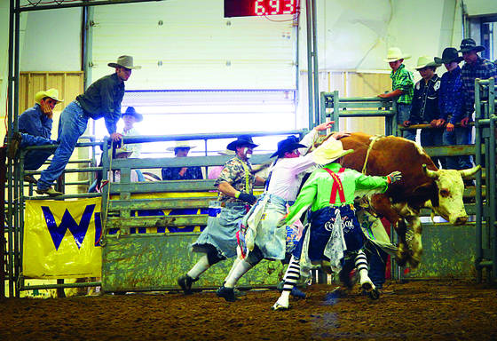 Bull_wranglers