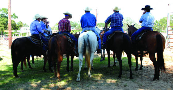 Cowboys