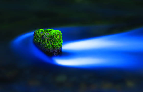 Untitled_8