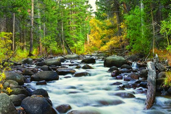 Mountain_stream