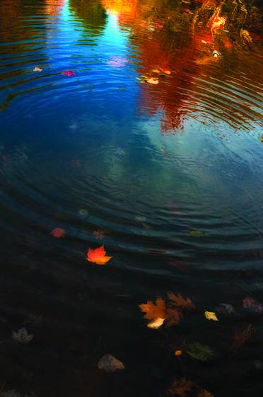Reflections