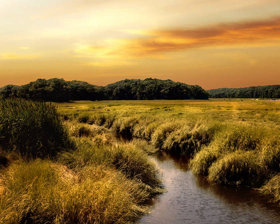 Parker_river_marsh
